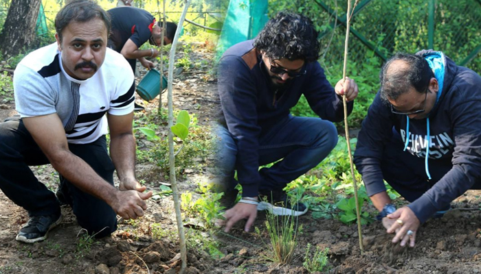 maharashtrachi hasya jatra tree plantation