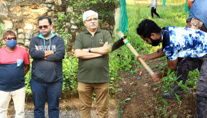 tree plantation sahyadri devari mumbai