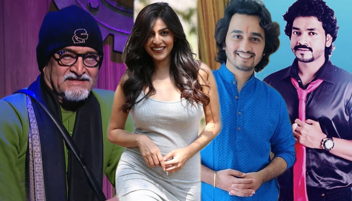 final elimination big boss house